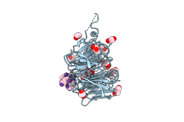 9DZX image