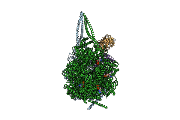 9DZY image