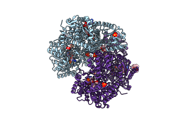 9E0C image