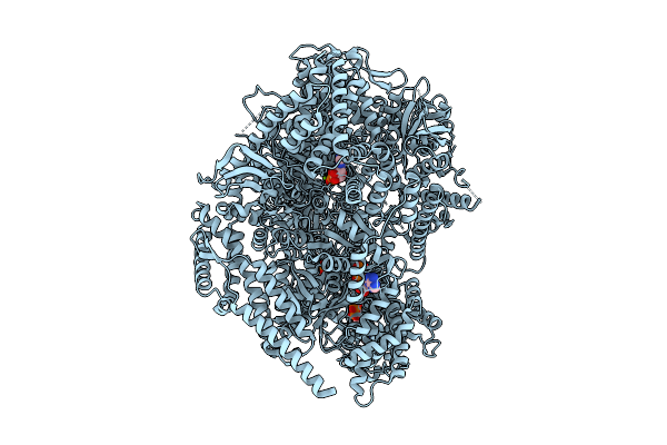 9E0K image