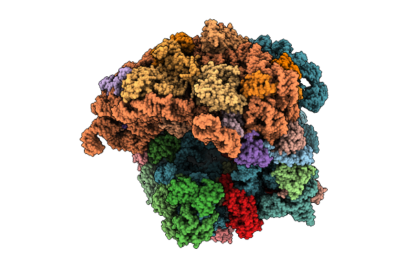 9E0P image