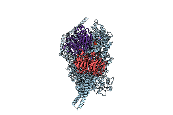 9E0T image