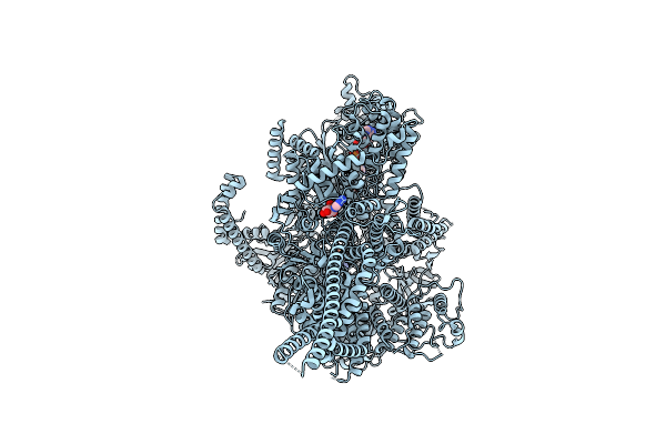 9E0U image