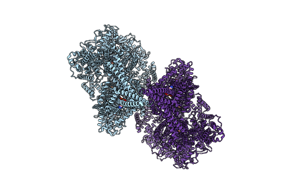 9E10 image