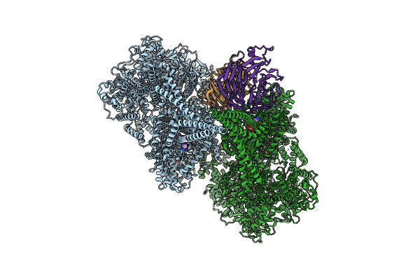 9E11 image