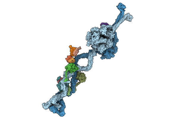 9E13 image