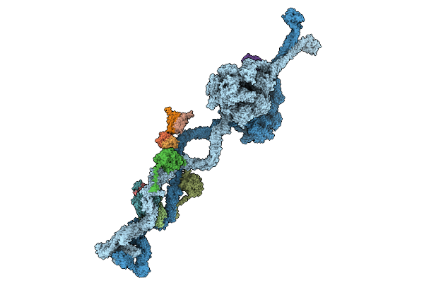 9E14 image