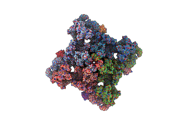 9E1B image