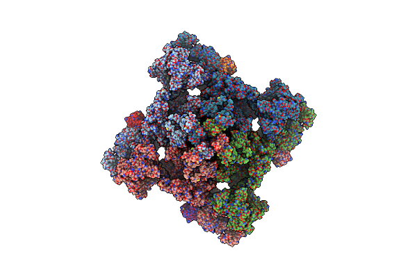 9E1C image