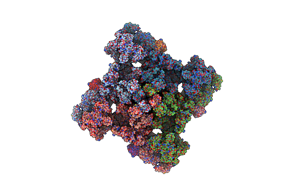 9E1D image