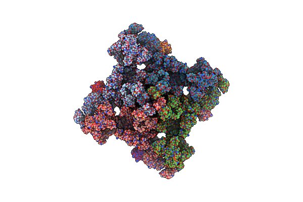 9E1E image