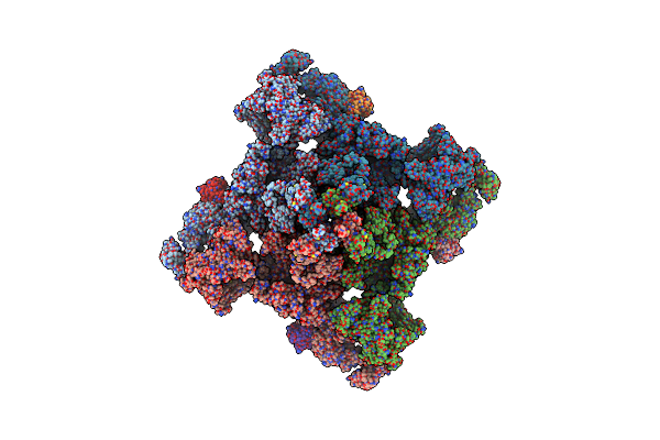 9E1F image