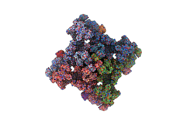 9E1G image