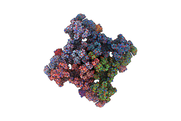 9E1H image