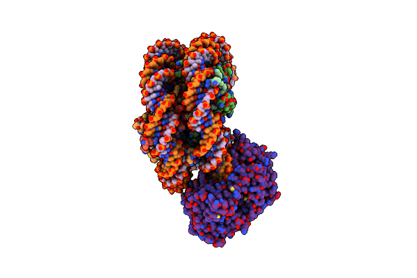 9E1N image