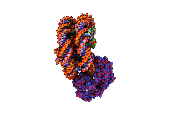 9E1O image