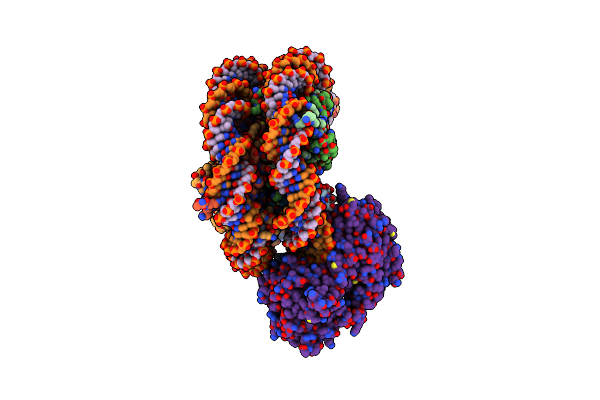 9E1R image