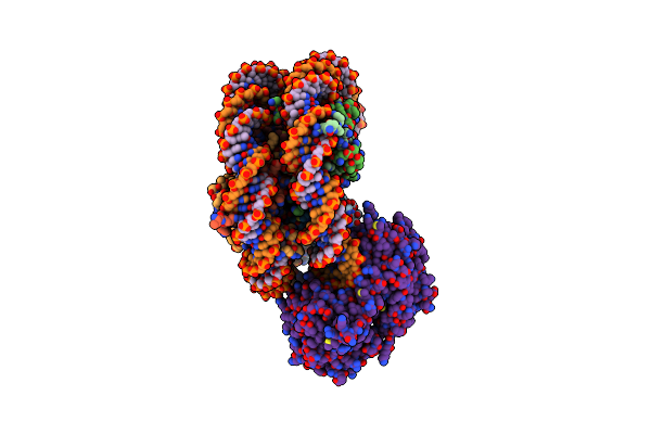 9E1U image
