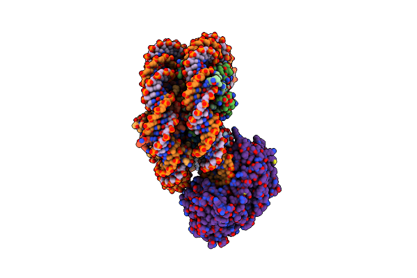 9E1X image