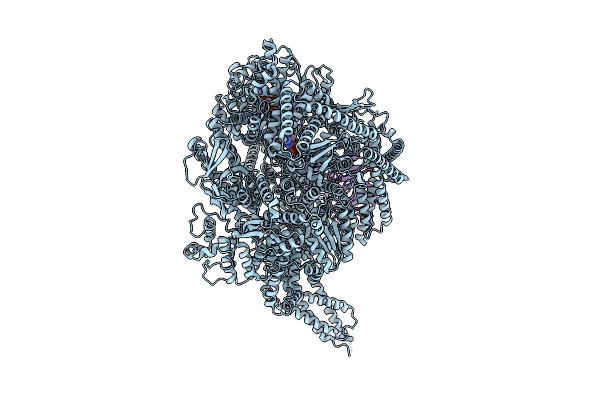 9E22 image