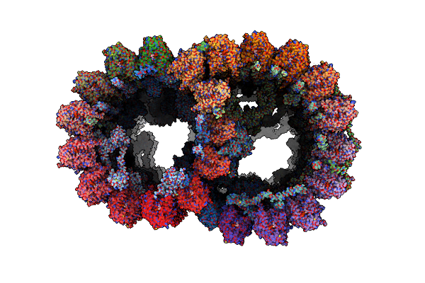 9E2G image