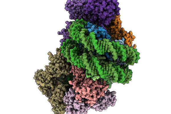 9E2R image
