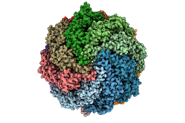 9E2S image