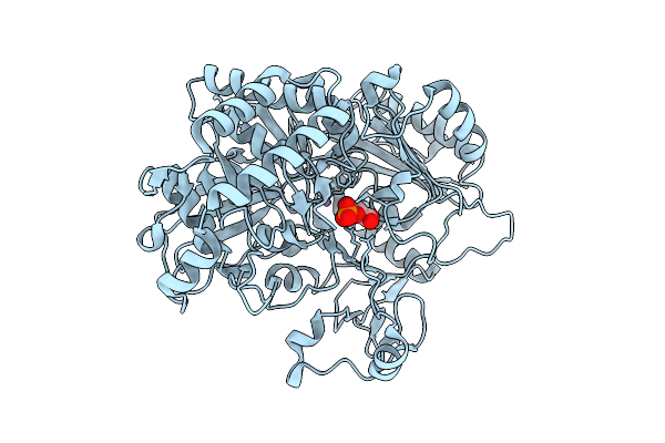 9E33 image