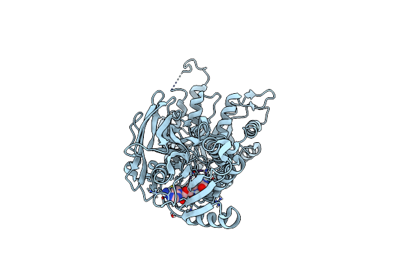 9E3C image