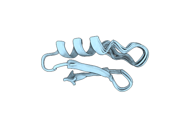 9E3X image