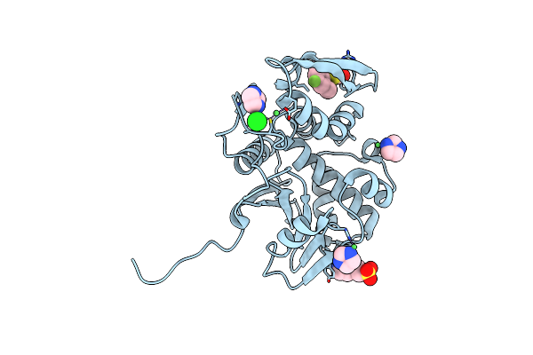 9E40 image