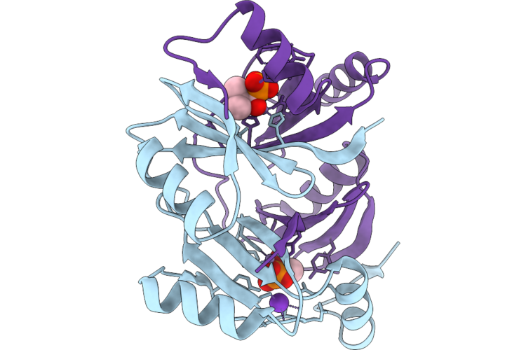 9E46 image