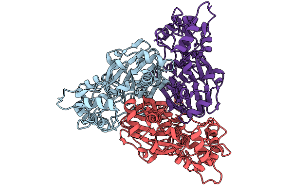 9E4C image