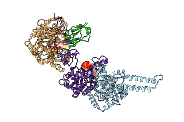 9E4O image