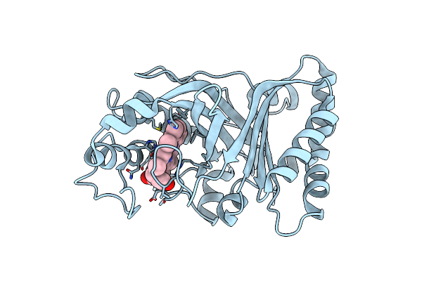 9E4R image