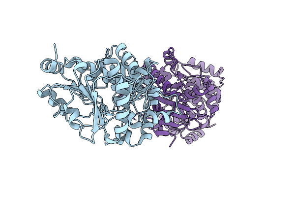 9E4X image