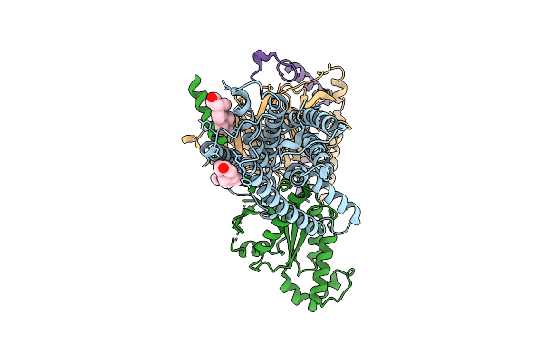 9E51 image