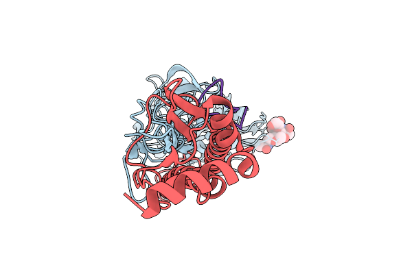 9E55 image