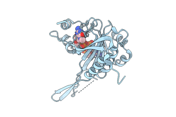 9E5B image