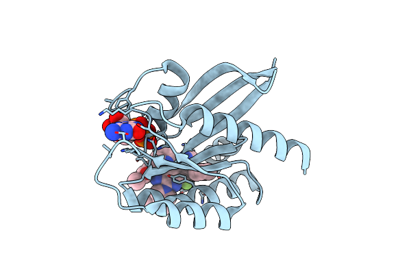 9E5D image
