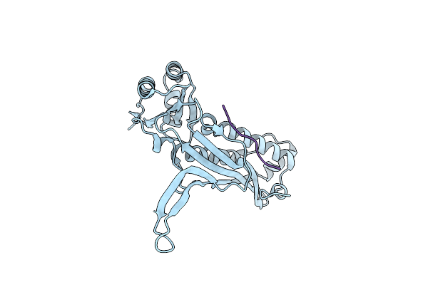 9E5E image