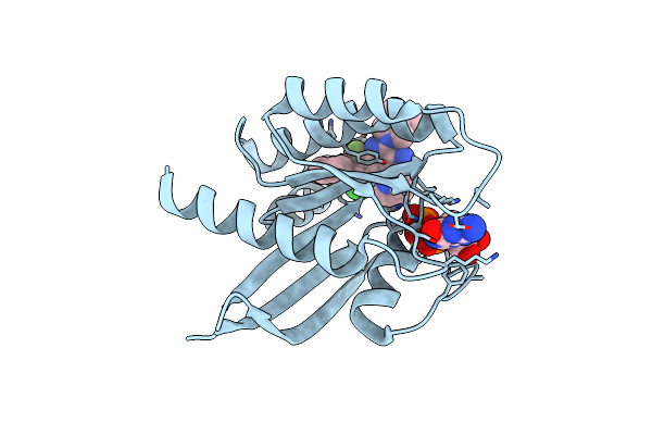 9E5F image
