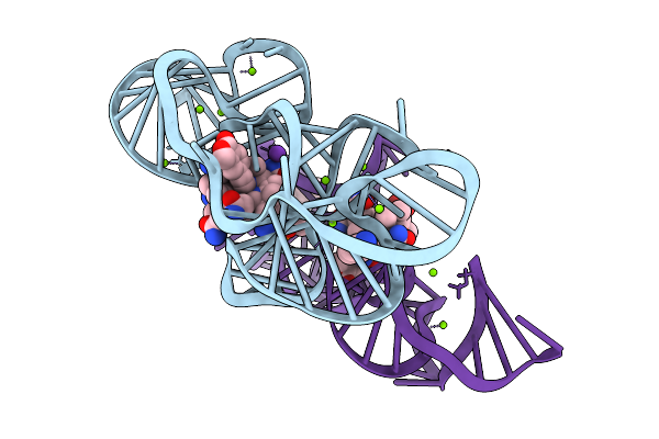 9E5P image