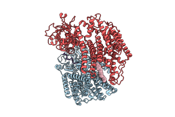 9E6I image