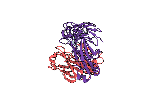 9E6K image