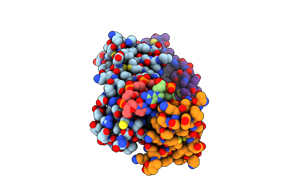 9E6R image