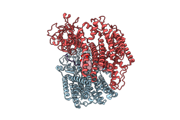 9E6V image