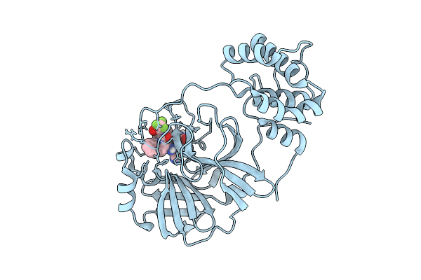 9E7S image