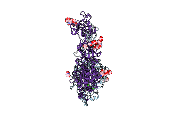 9E8B image