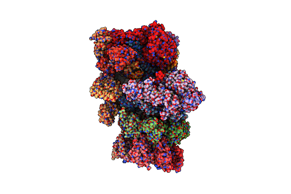 9E8G image